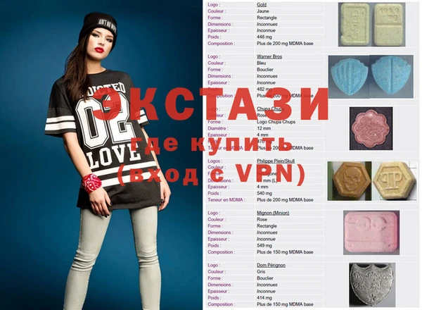 дживик Инта