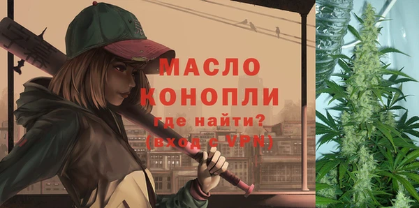 спиды Инсар
