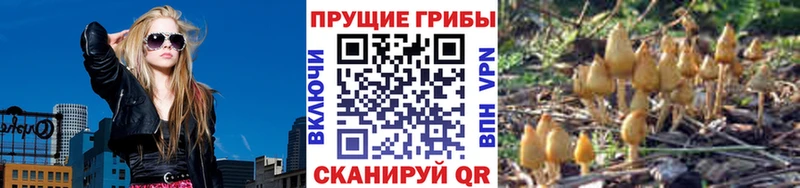 Псилоцибиновые грибы GOLDEN TEACHER  Купить закладки  Дегтярск 