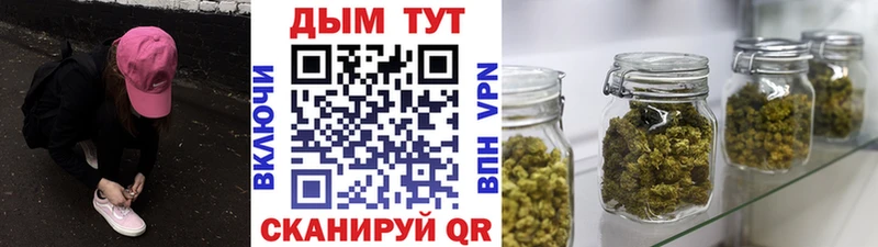 Бошки Шишки THC 21%  Купить закладки  Дегтярск 